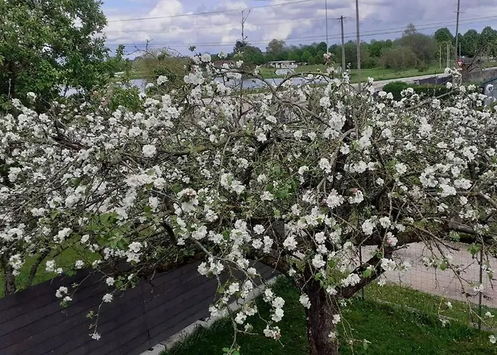 Prázdninový dům L'etang Pour Soi *